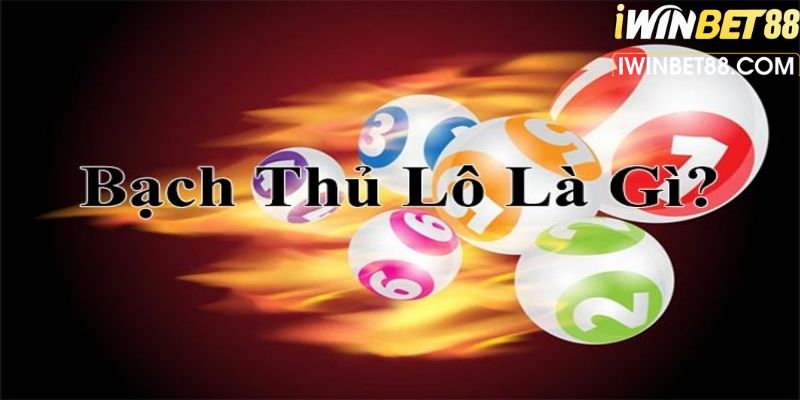 bạch thủ lô là gì